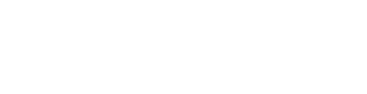The Animation 2026 Only on Netflix
